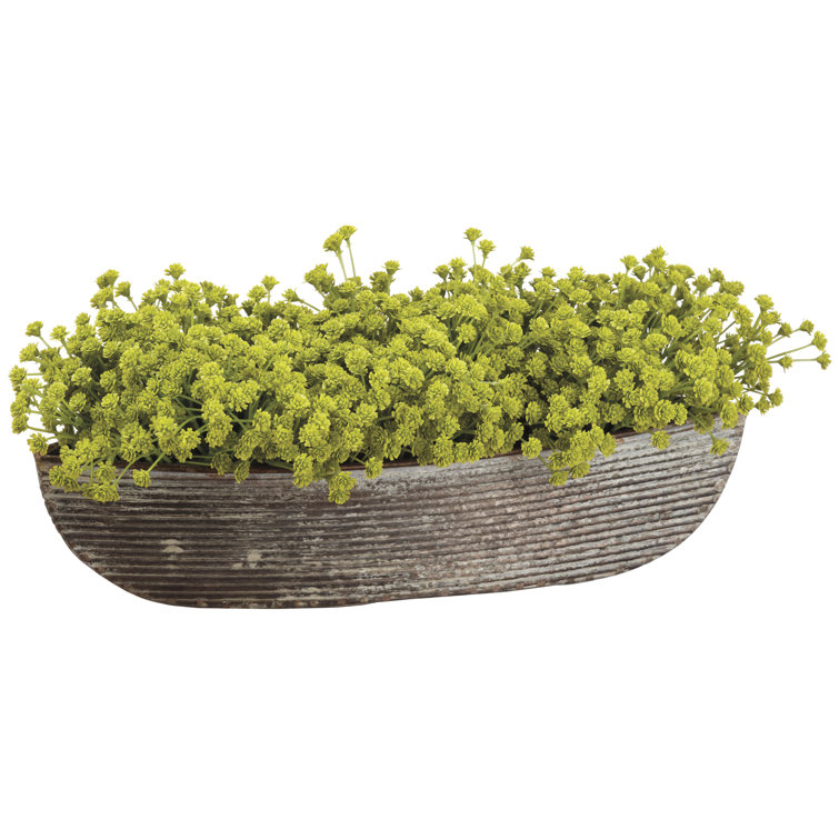 Williston 6'' Faux Flowering Plant in Metal Pot Wayfair